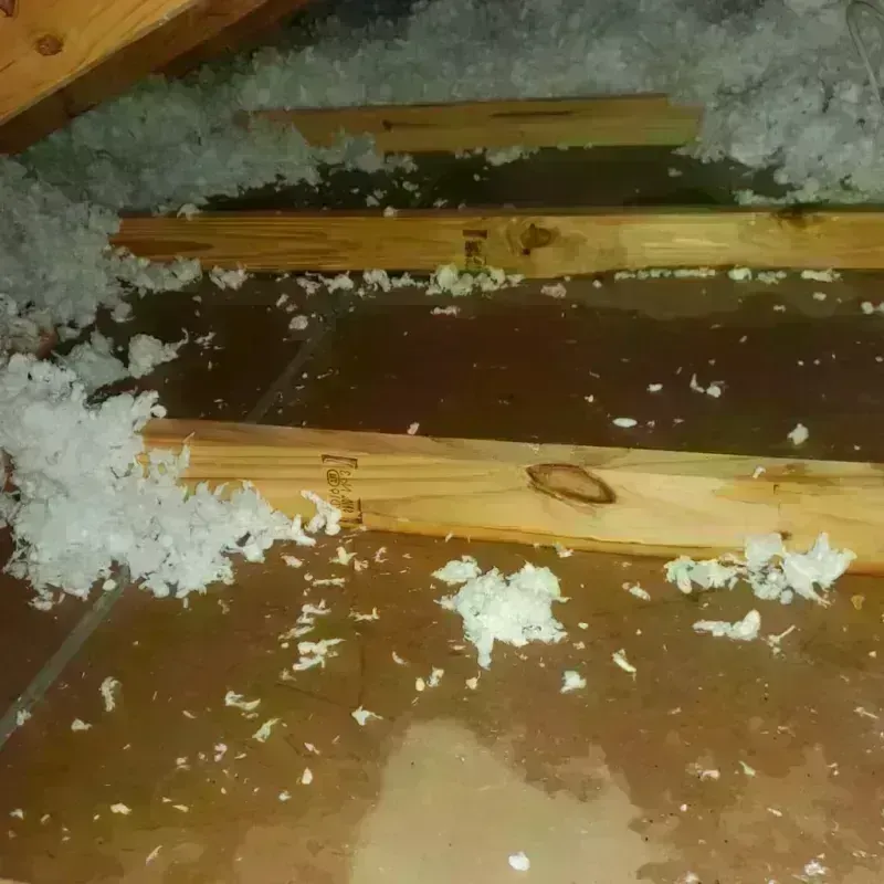 Attic Water Damage in Hiawassee, GA